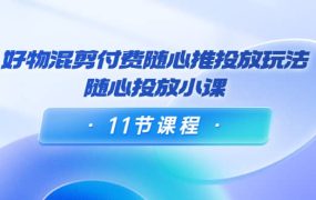 好物混剪付费随心推投放玩法,随心投放小课(11节课程)
