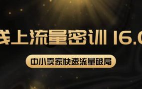 2022秋秋线上流量密训16.0:包含 暴力引流10W 中小卖家流量破局技巧 等等!