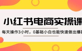 小红书·电商实操课:每天操作3小时,0基础小白也能快速做出爆款