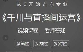 阳光·千川与直播间运营从0开始走向专业,93节完整版