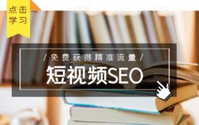 未来新趋势,布局短视频SEO,如何利用抖音SEO免费获得精准流量(3节课)