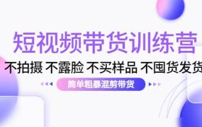 短视频带货训练营：不拍摄 不露脸 不买样品 不囤货发货 简单粗暴混剪带货