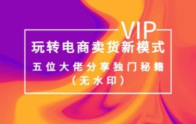 某收费培训:玩转电商卖货新模式,五位大佬分享独门秘籍(无水印)