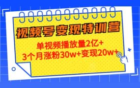 20天视频号变现特训营:单视频播放量2亿