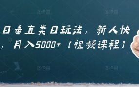 虚拟项目垂直类目玩法,新人快速起店,月入5000 【视频课程】