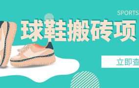 外面收费998的球鞋搬砖项目【详细教程 资源渠道】