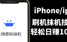 另类出售iPhone刷机抹机技术,一天100 左右!