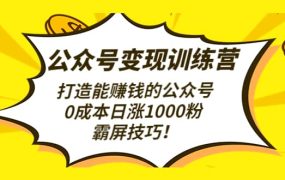 公众号变现训练营(第3期)