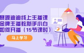 暴躁迪迪线上主播课，金牌主播教新手小白如何开播（15节课时）