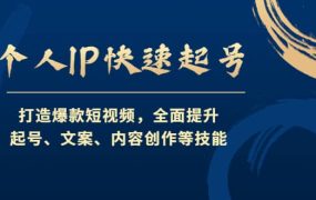 个人IP快速起号,打造爆款短视频,全面提升起号、文案、内容创作等技能