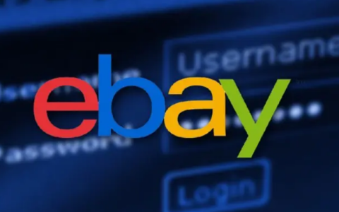 eBay收款方式(eBay绑定CoGoLinks收款操作流程)