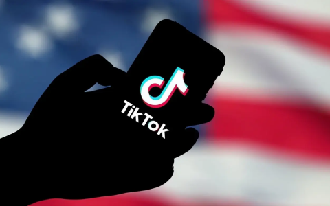 目标竟是争夺未来市场？TikTok野心外露